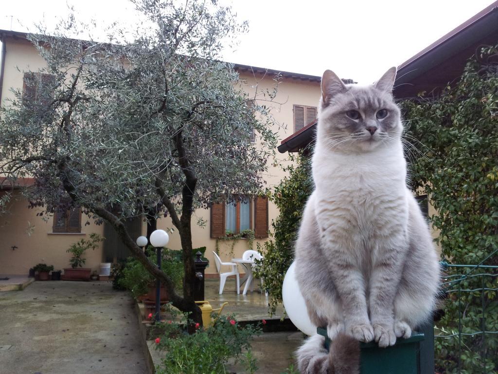 B&B Barbara Assisi Cannara Екстериор снимка